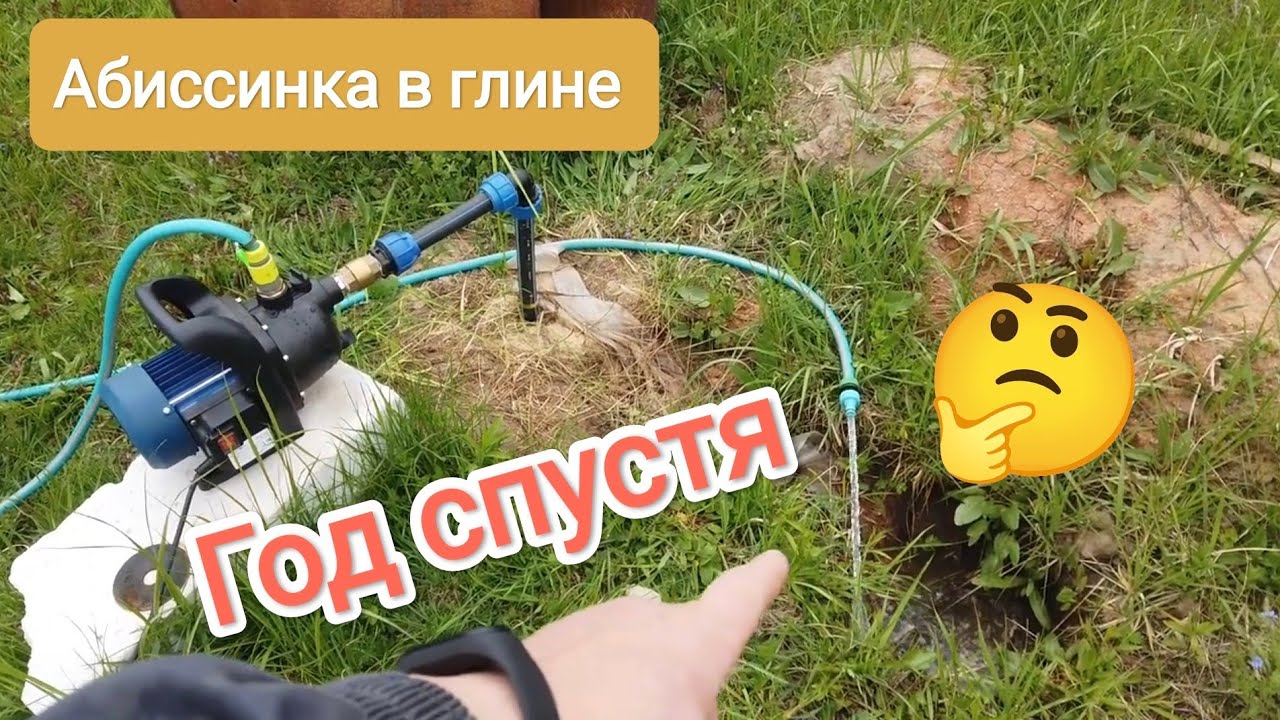 АБИССИНКАЯ СКВАЖИНА В ГЛИНЕ ГОД СПУСТЯ!👍👌💦#свояскважина52#абиссинскаяскважина#абиссинскийколодец