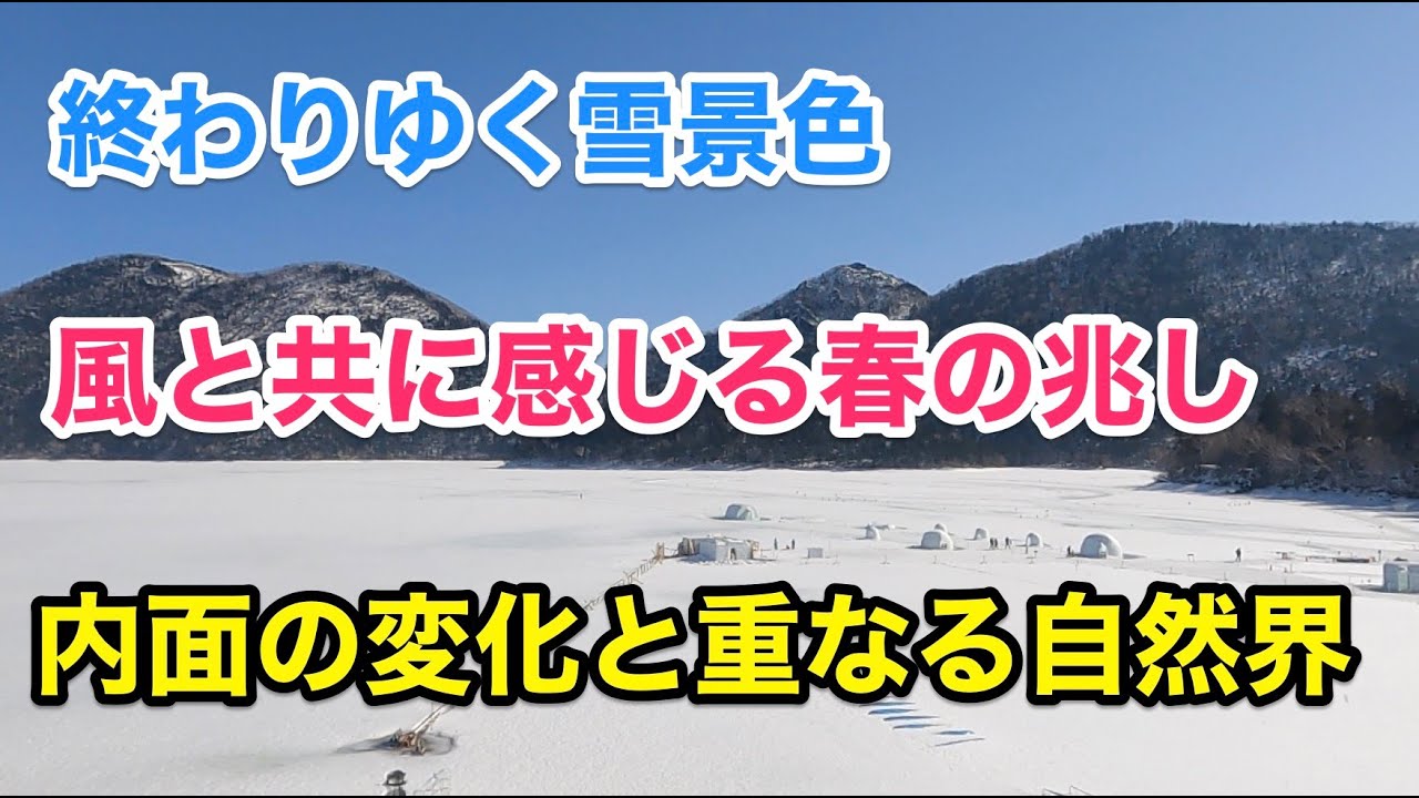 20230311　カフェ雑談　内面の変化を感じる自然界