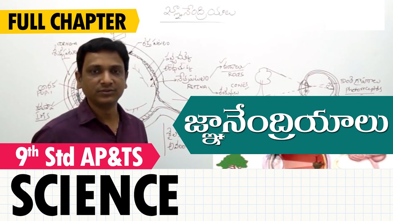 Sense Organs | జ్ఞానేంద్రియాలు | Class 9 Science (T.M)
