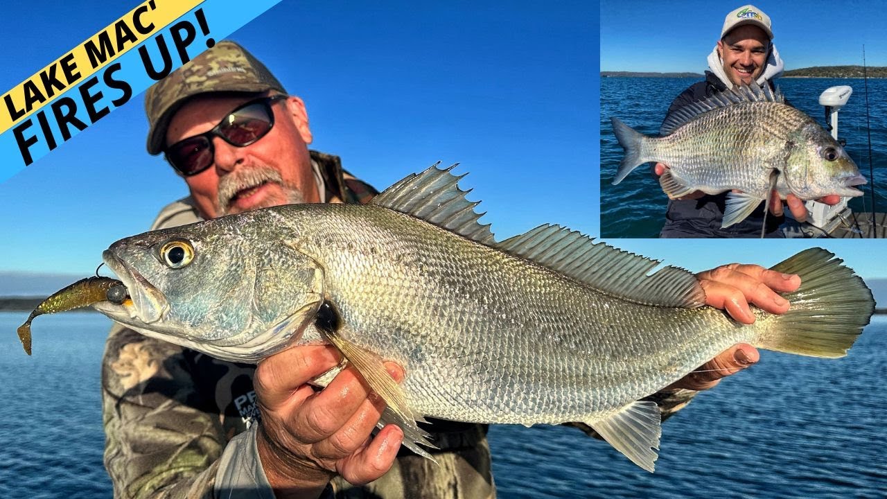 JEWFISH Bonus Caps BIG Day On Lake Macquarie! (This Place Is Amazing!)
