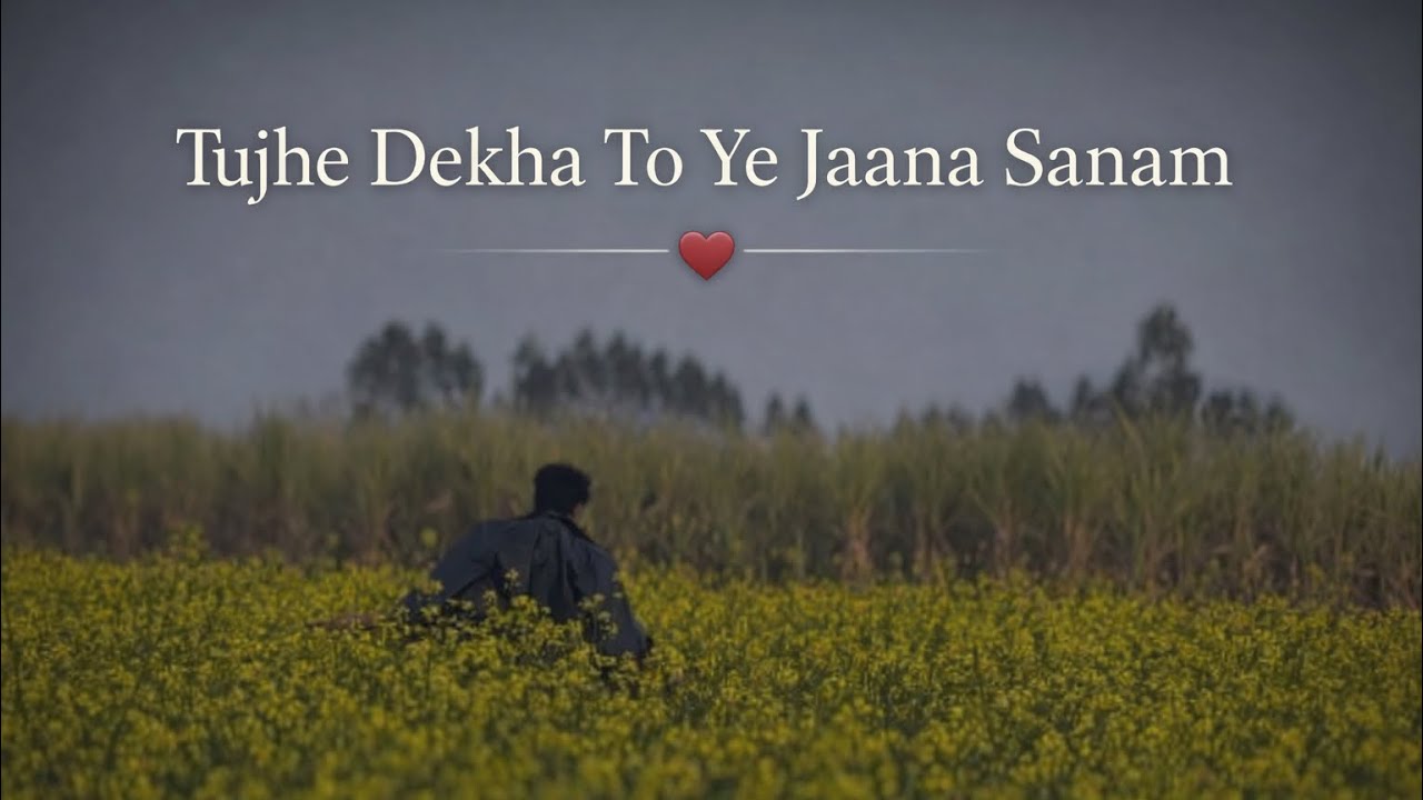 Tujhe Dekha To Ye Jaana Sanam- by / aly khan
