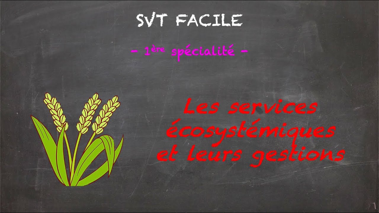 SVT FACILE - 1ère spé. - Les services écosystémiques et leurs gestions