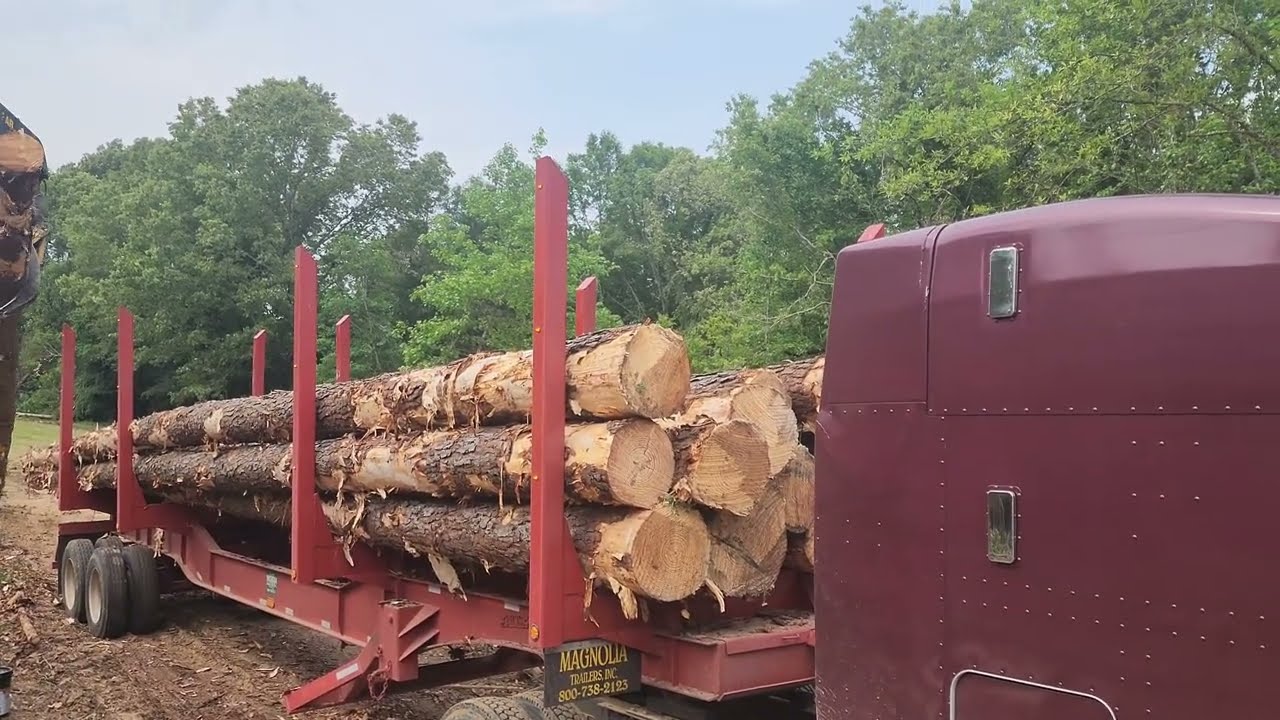 Mississippi Logging: Mississippi Logger Loading Peterbilt