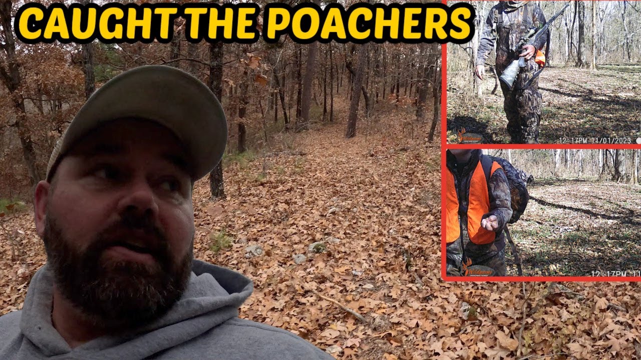 Hidden Camera Caught Poachers In The Act