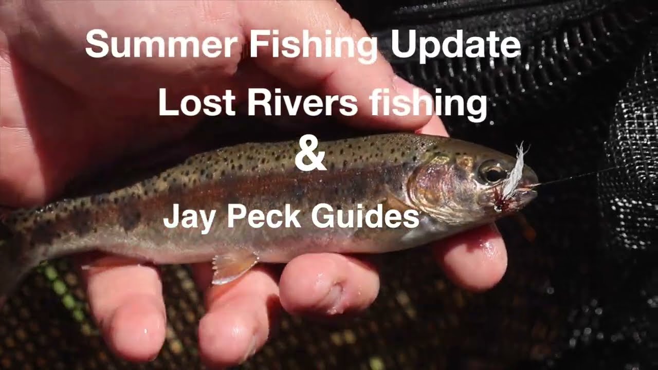 Lost Rivers Fishing - Summer Fishing Update