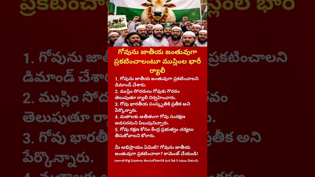 Cow Protection in India: 5 Major Demands Raised by Muslim Leaders