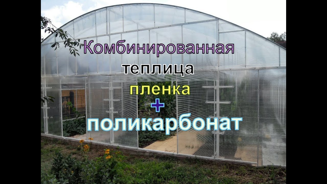 Виноград .  Теплица своими руками для винограда .
