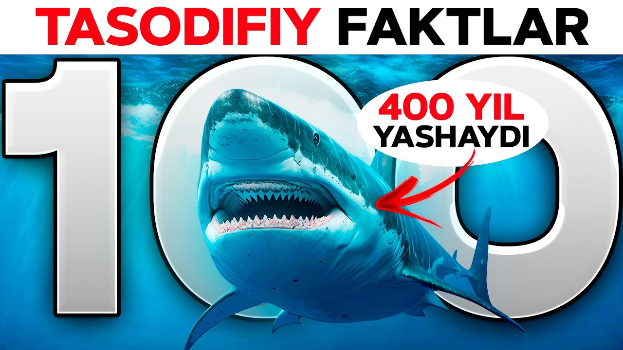 TASODIFIY 100 TA FAKT 🐈‍⬛ | 2-QISM