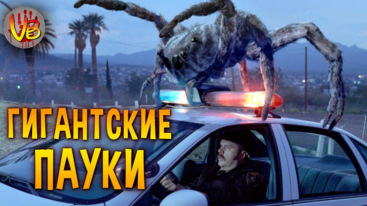 КРИПОВАЯ ХРЕНАТЕНЬ: ГИГАНТСКИЕ ПАУКИ