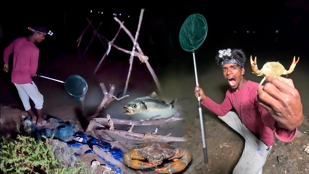 A Full Night We're Catching River 🦀Jaint Crabs & Fish's 🐟 | Mud Crabs | Venu Adventures