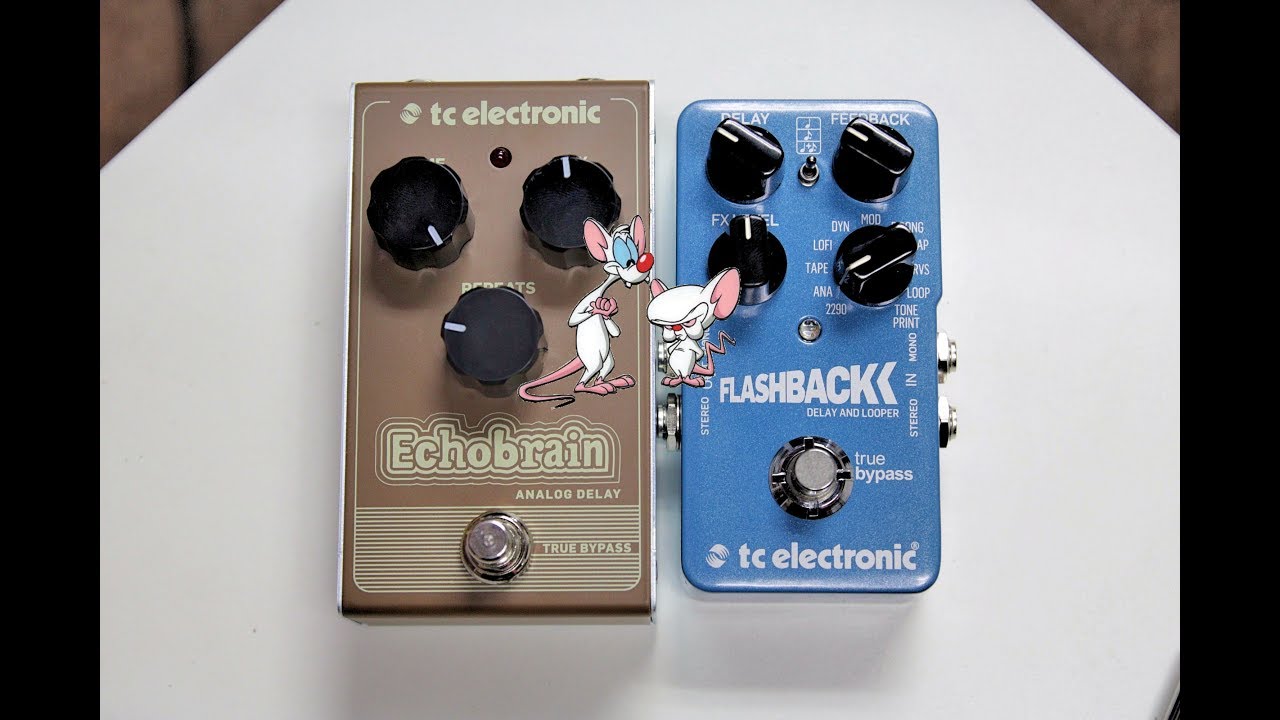 MORE ANALOG-ISH? TC Electronic Echobrain Analog Delay vs Flashback Analog Mode