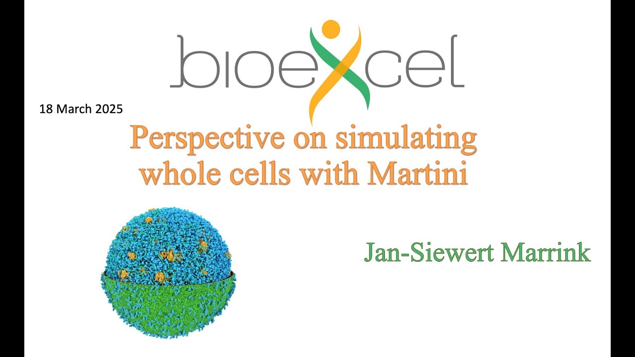 Bioexcel webinar #84 Perspective on simulating whole cells with Martini