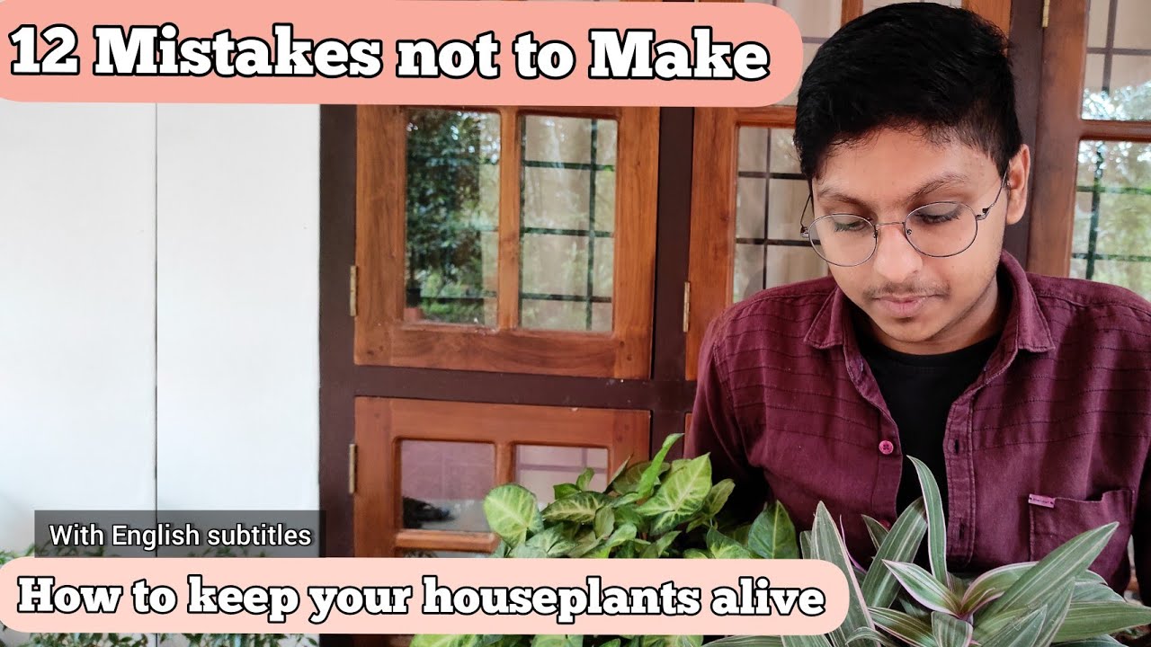 12 Mistakes Not to Make : How to Keep Your Plants Alive !