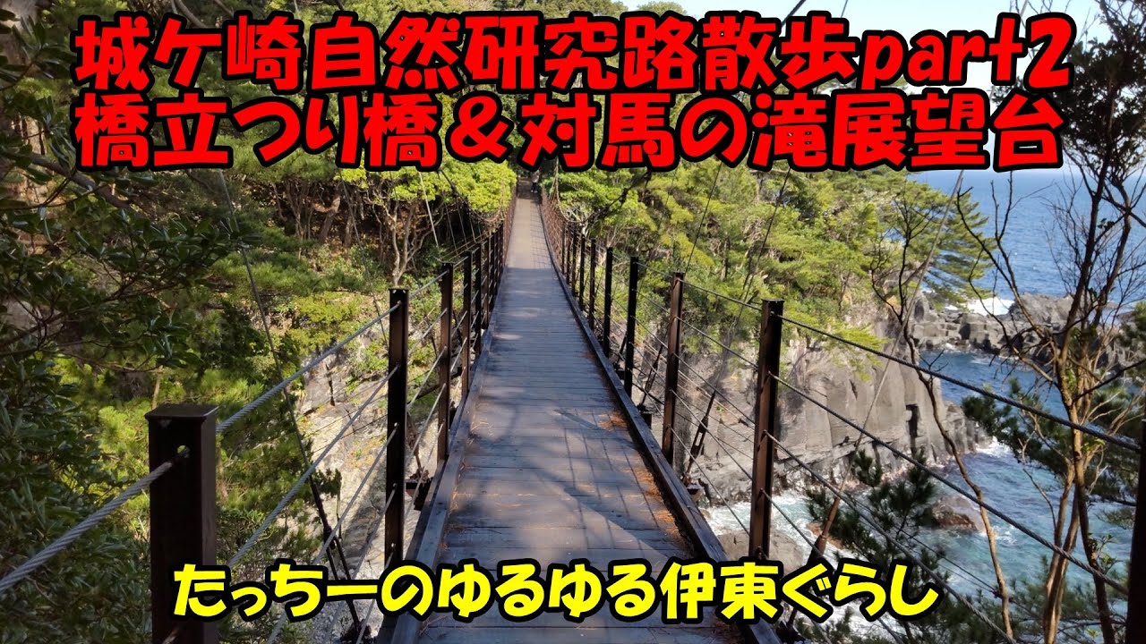 【城ヶ崎自然研究路part2『橋立つり橋＆対馬の滝展望台』のんびり散歩】by たっちーのゆるゆる伊東ぐらし #cooljapan