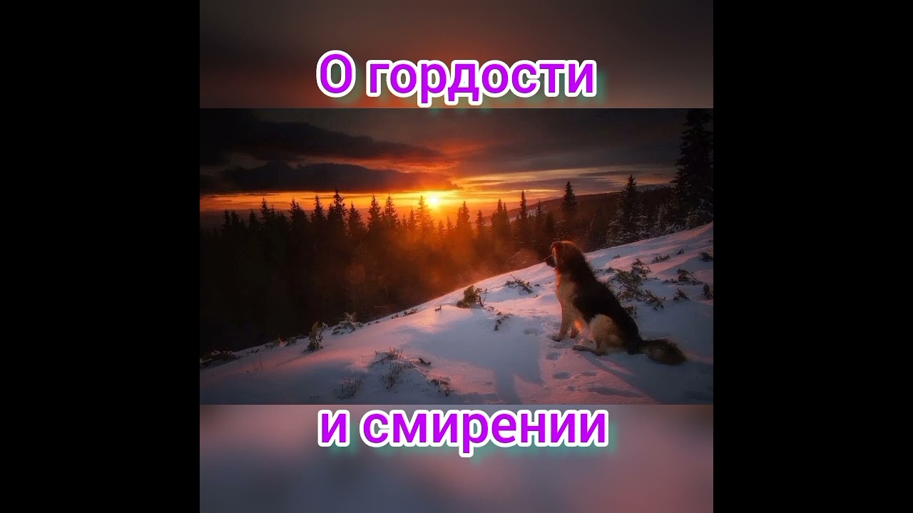 ✅