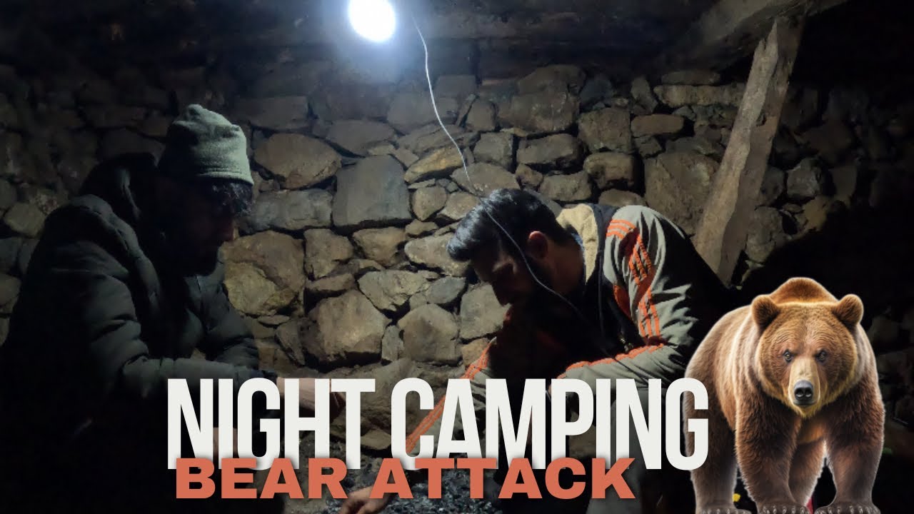 Night Camping In Dangerous Forest // Bear Attack 😲//Kashmir Adventure//Camping in kaahmir