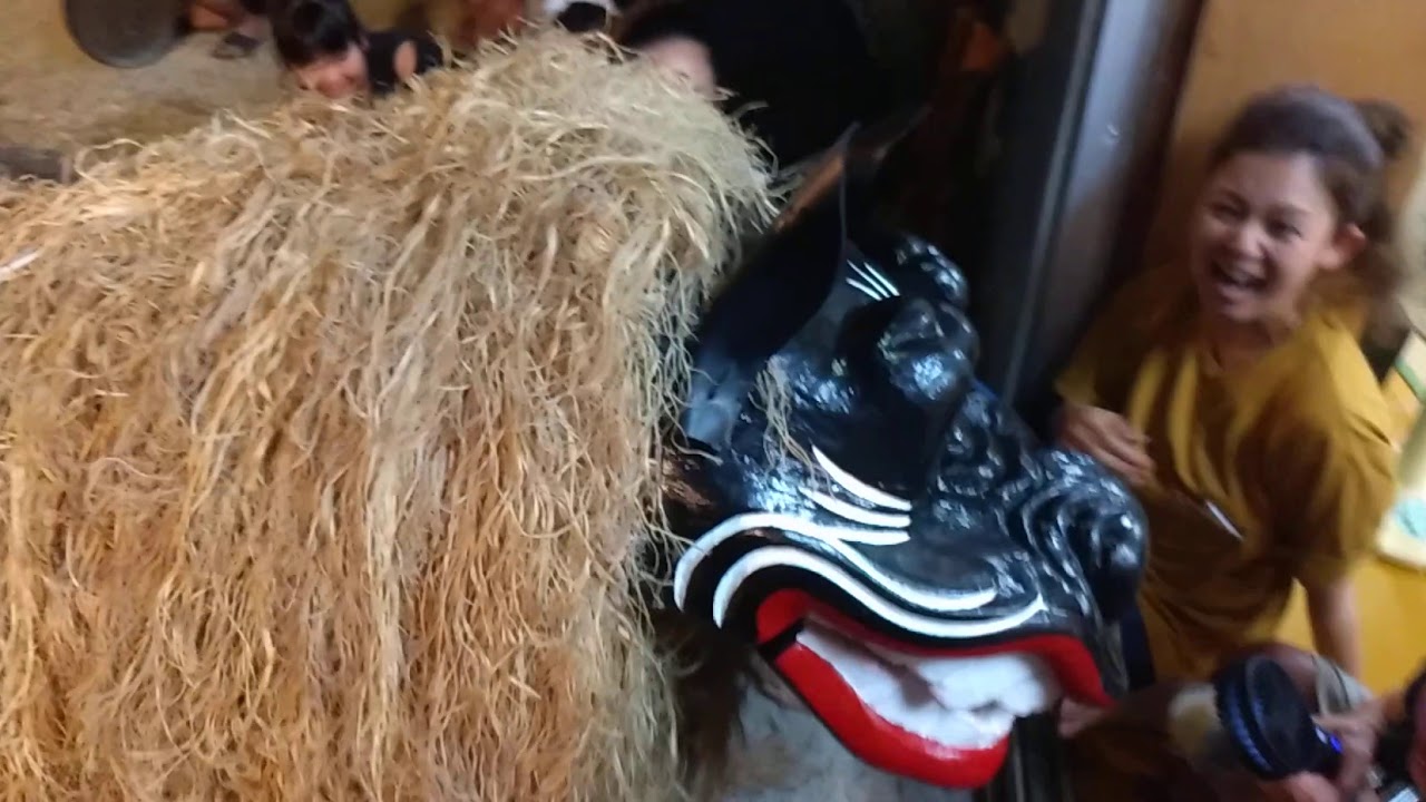 2019 Ishigaki island Shishi Lion traditional dance   The Shishi Lion swallows the child!　旧盆行事　白保獅子