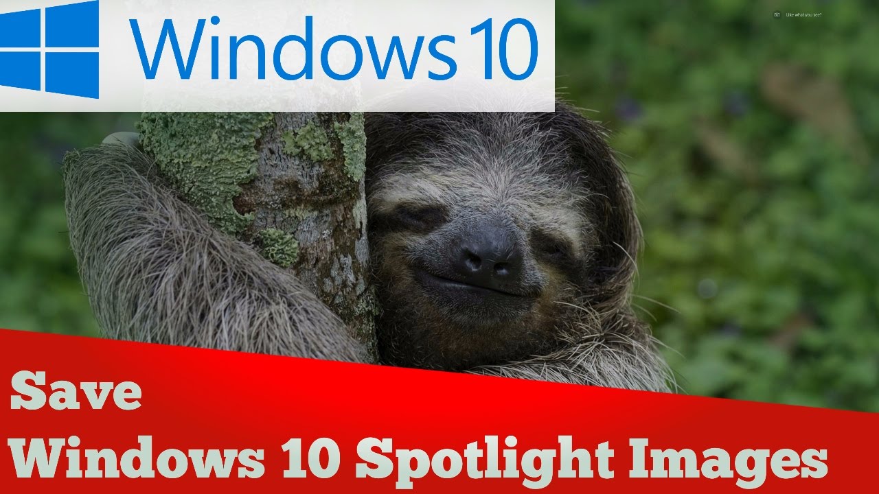 {really easy}How to Use Windows spotlight images as your desktop wallpaper