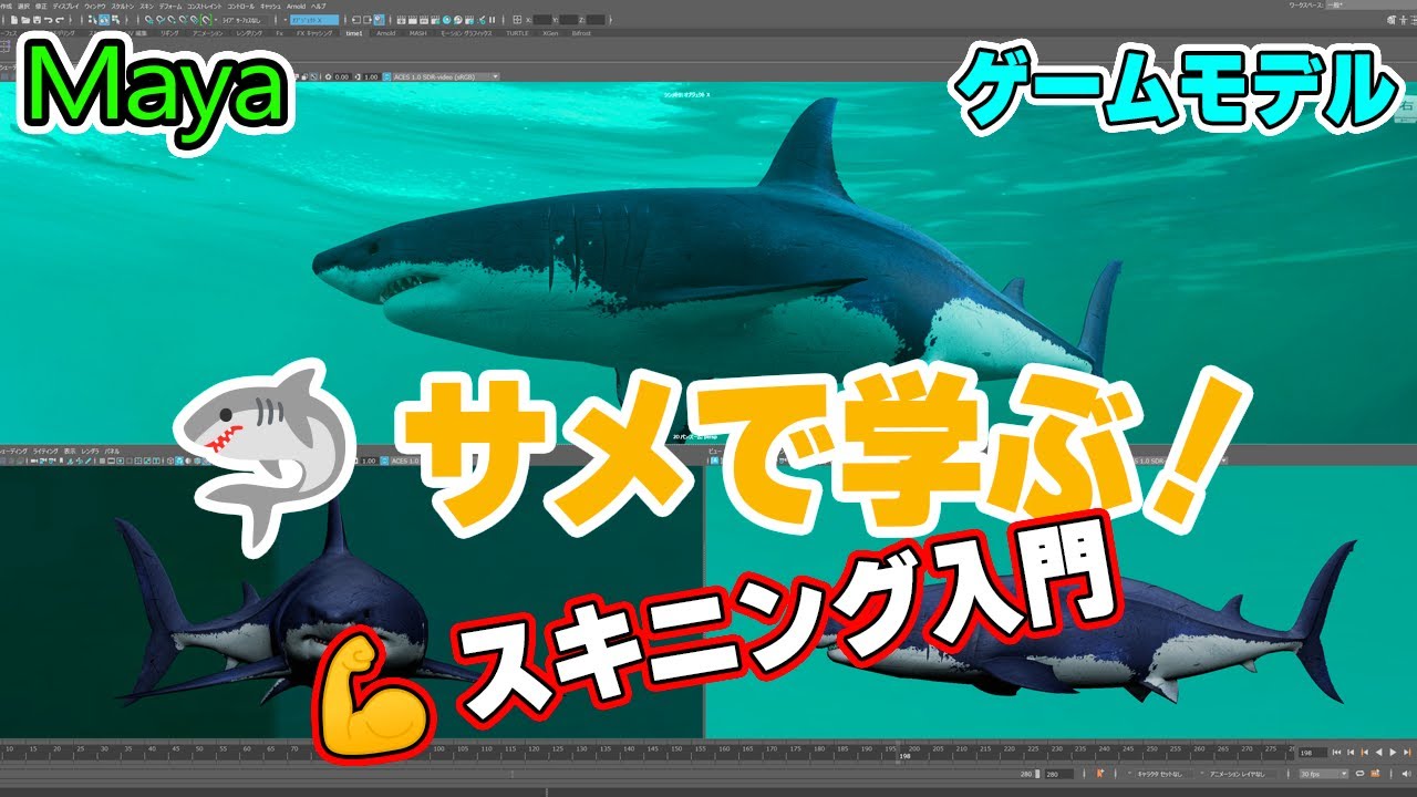 Maya【サメ🦈 アニメーション】Mayaで簡単スキニング解説【15分チュートリアル】[ENG/JP] How to Skin in Maya - 15min Beginner Tutorial