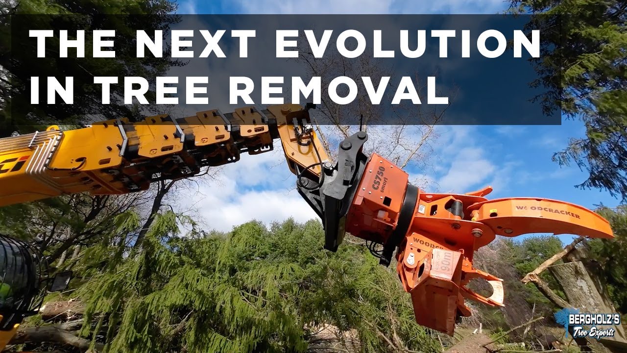 This setup is an absolute game changer for tree removal