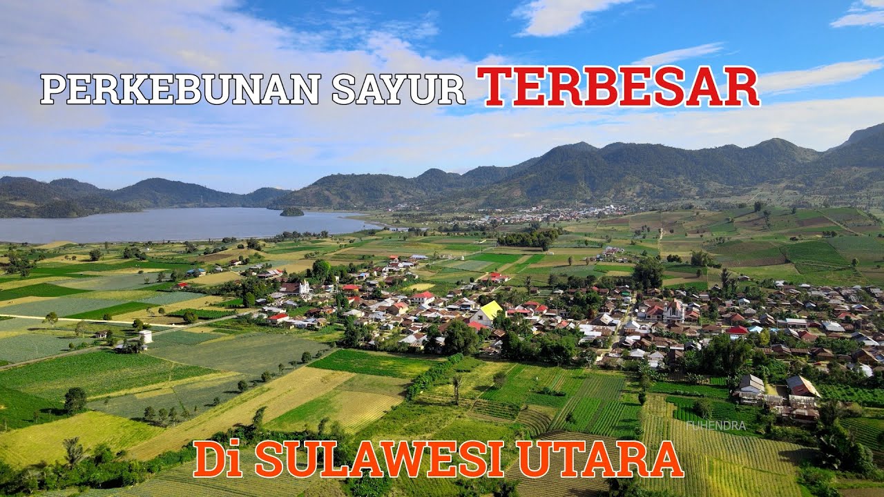 PESONA PERKEBUNAN SAYUR TERBESAR DI SULAWESI UTARA
