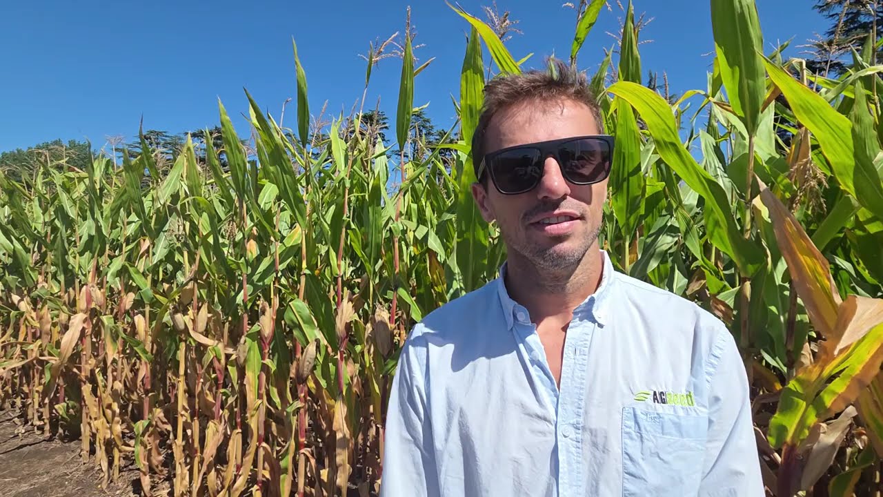 GENTE DE CAMPO 14 02 2026