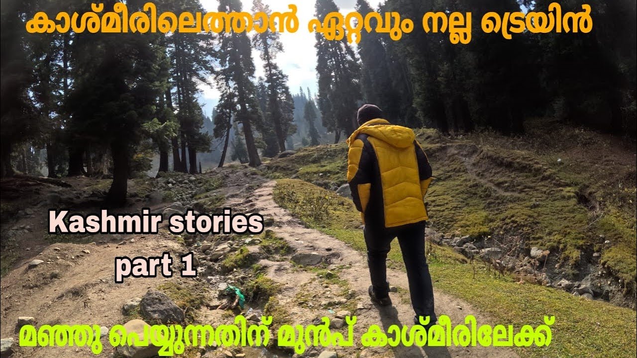 കേരളത്തിൽ നിന്ന് കാശ്മീരിലേക്ക് ഒരു ട്രെയിൻ യാത്ര / kerala to kashmir train 