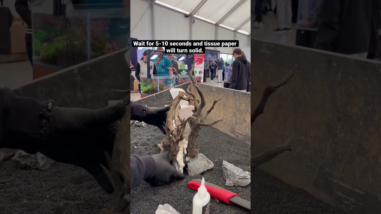 How to glue driftwood to a rock and create beautiful aquascape design