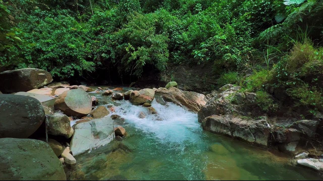 4K-HDR | Relaxing River Stream Ambience for Sleep | Natural Water Sounds for Calm and Stress Relief