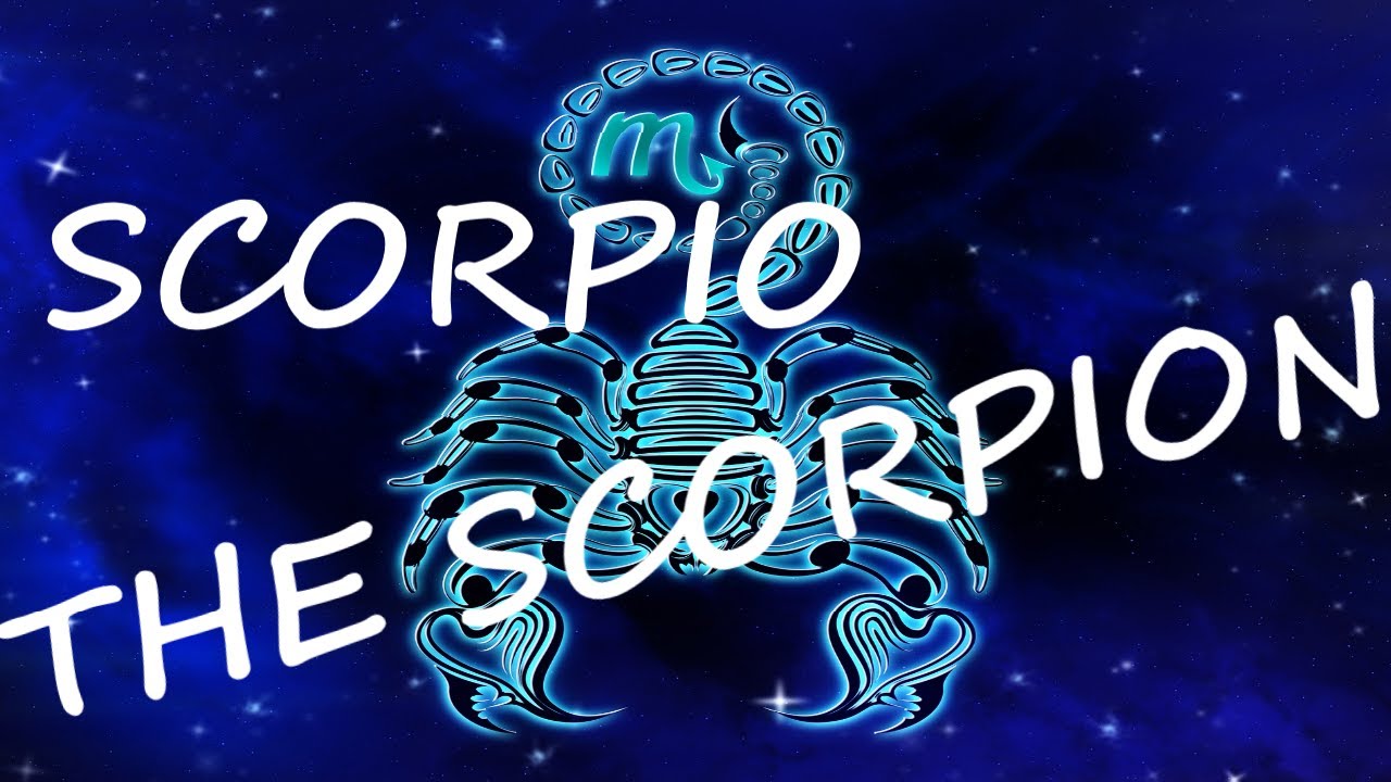The Truth About Scorpio ♏️ Zodiac Sign Learn & Study Astrology With Me!