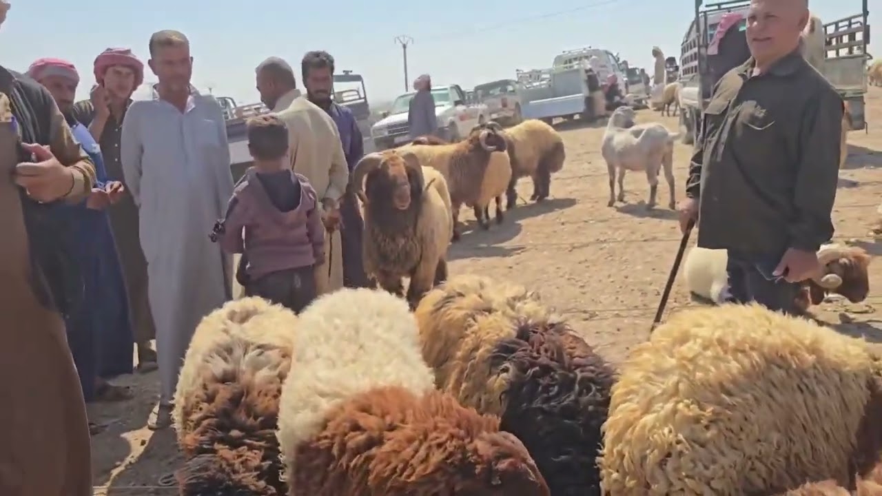 أسواق ريف الرقة #سوق العدنانية #الخميس ٨/ ٩/ ٢٠٢٥