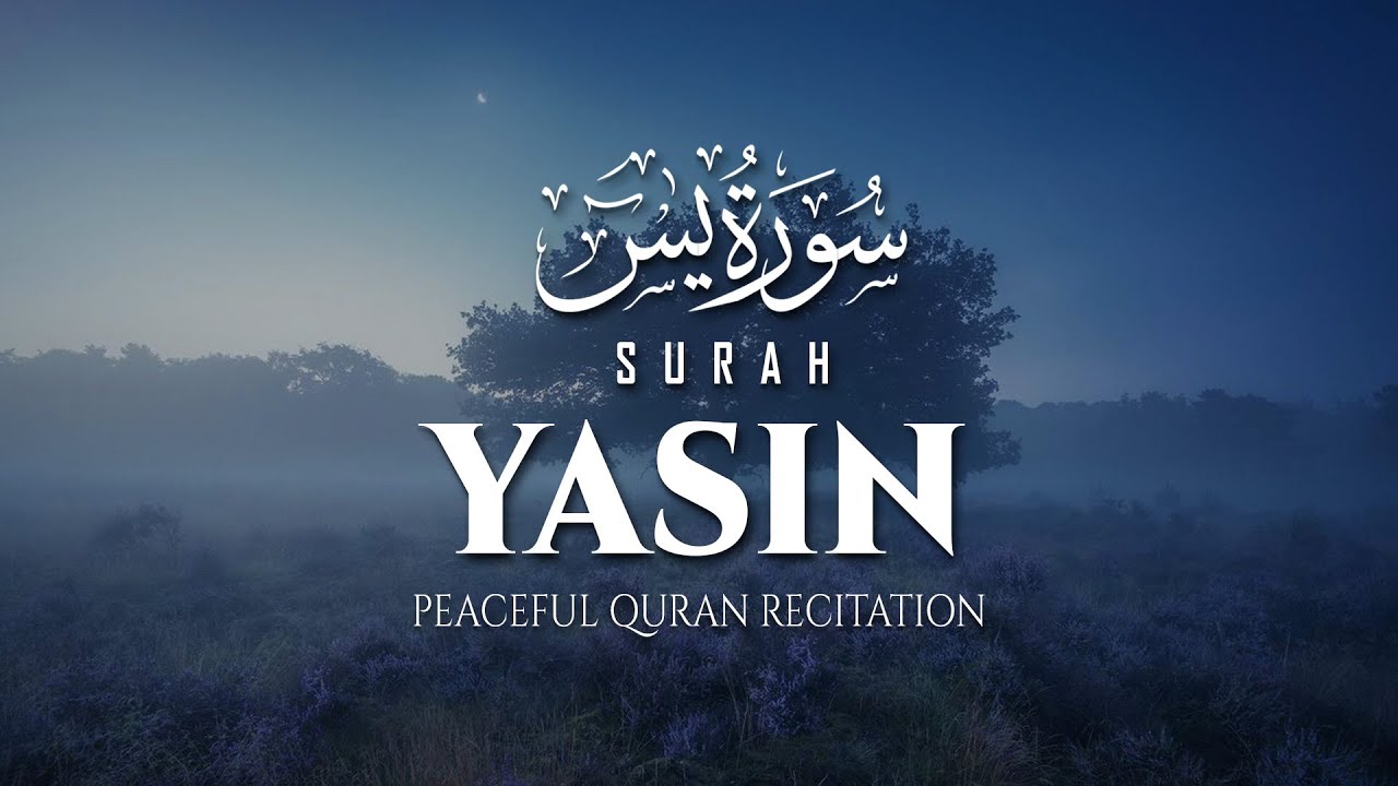 Surah Yaseen (Yasin) سورة يس | Relaxing Quran Recitation for Inner Peace | Spiritual Quran Tilawat