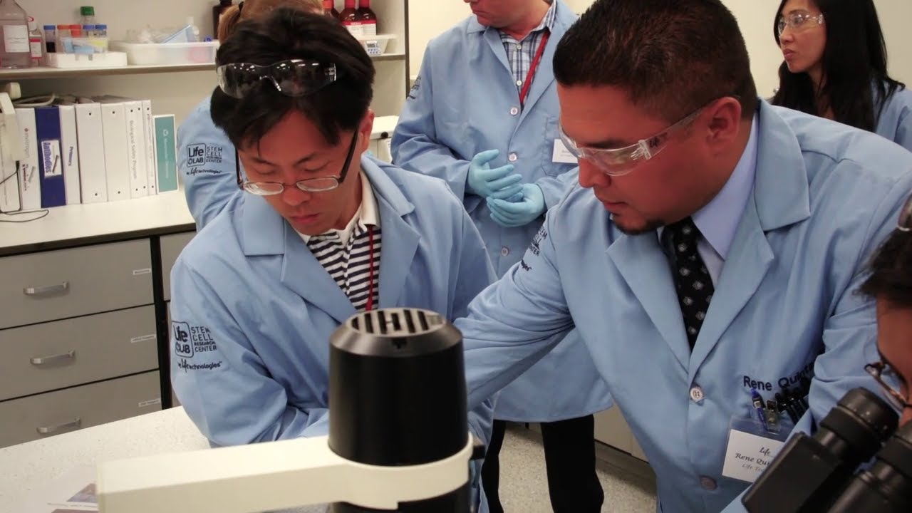 LifeLab&trade; Pluripotent Stem Cell Training Workshops