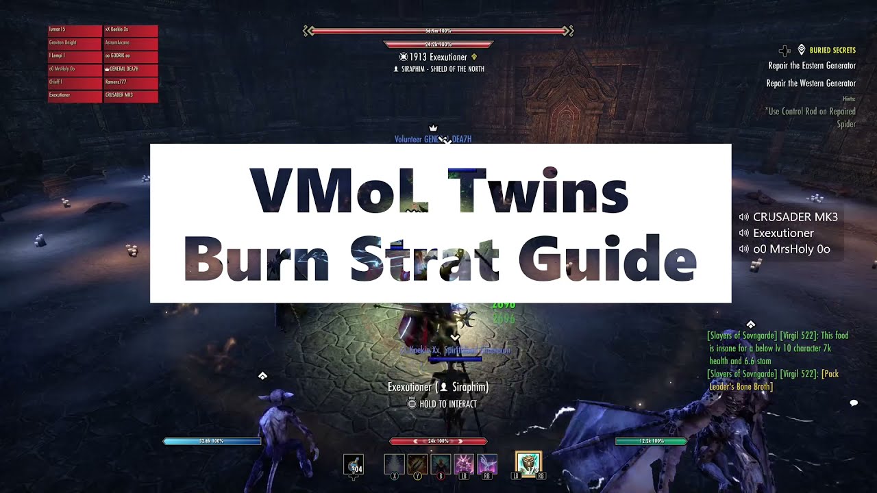 VMoL Twins Guide  I  Burn Strat  I  DD + Tank POV  I