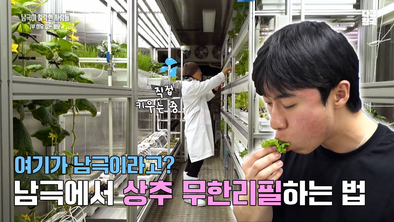 남극 세종기지에서 벌어진 삼겹살 파티, 삽겹살을 올린 상추는 어디서 온 걸까? 남극에서도 채소가 자란다? [남극이 허락한 사람들1부-중]