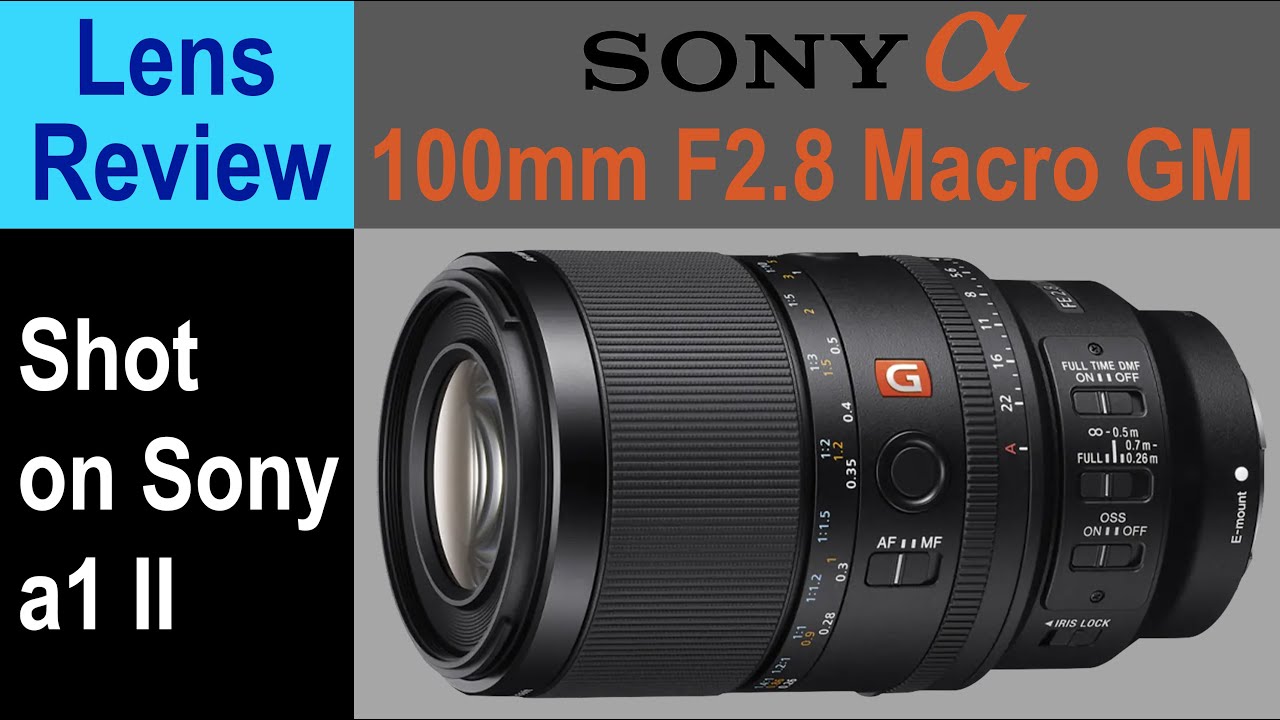 NEW Sony G-Master FE 100mm f/2.8 Macro - The BEST Macro Lens Currently Available