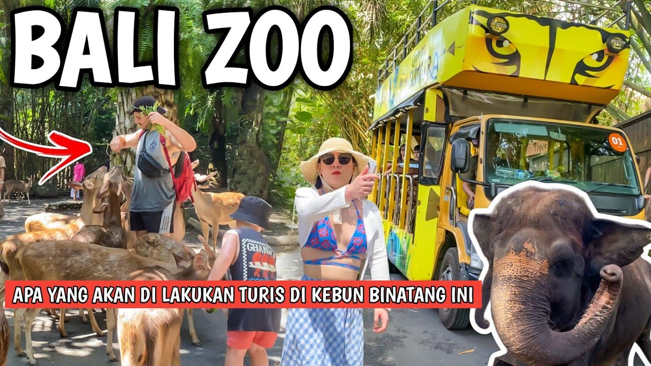 Bali zoo park: Kebun binatang Lengkap dan cantik di Gianyar Bali