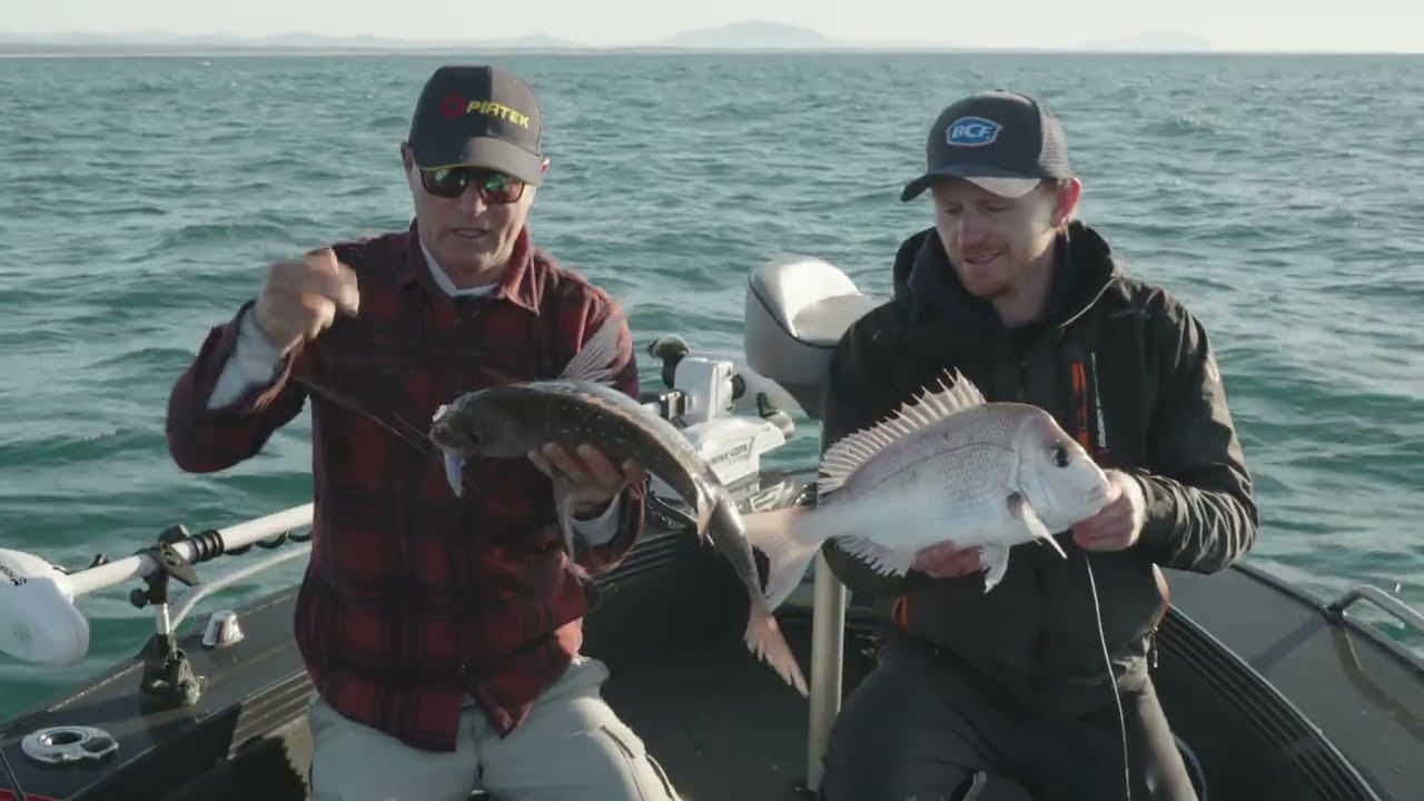 Catching Snapper on Soft Plastic Lures