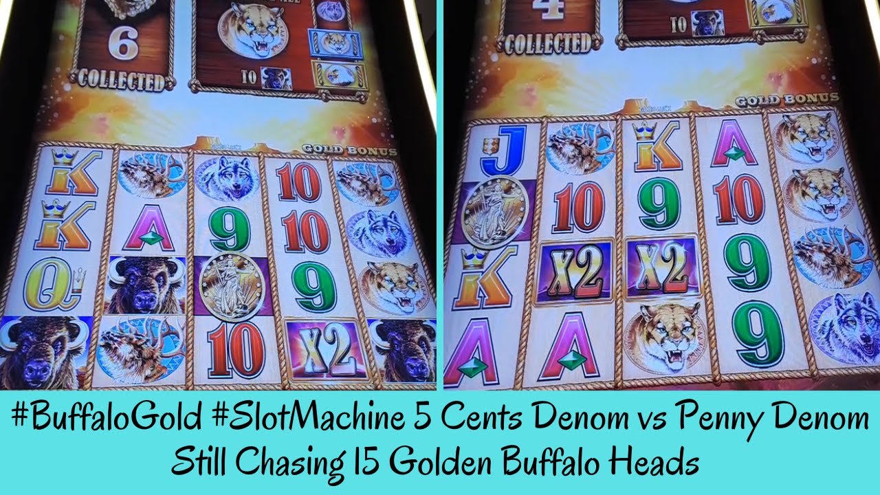BUFFALO GOLD SLOT MACHINE 5 Cents Denom vs Penny Denom - SunFlower Slots