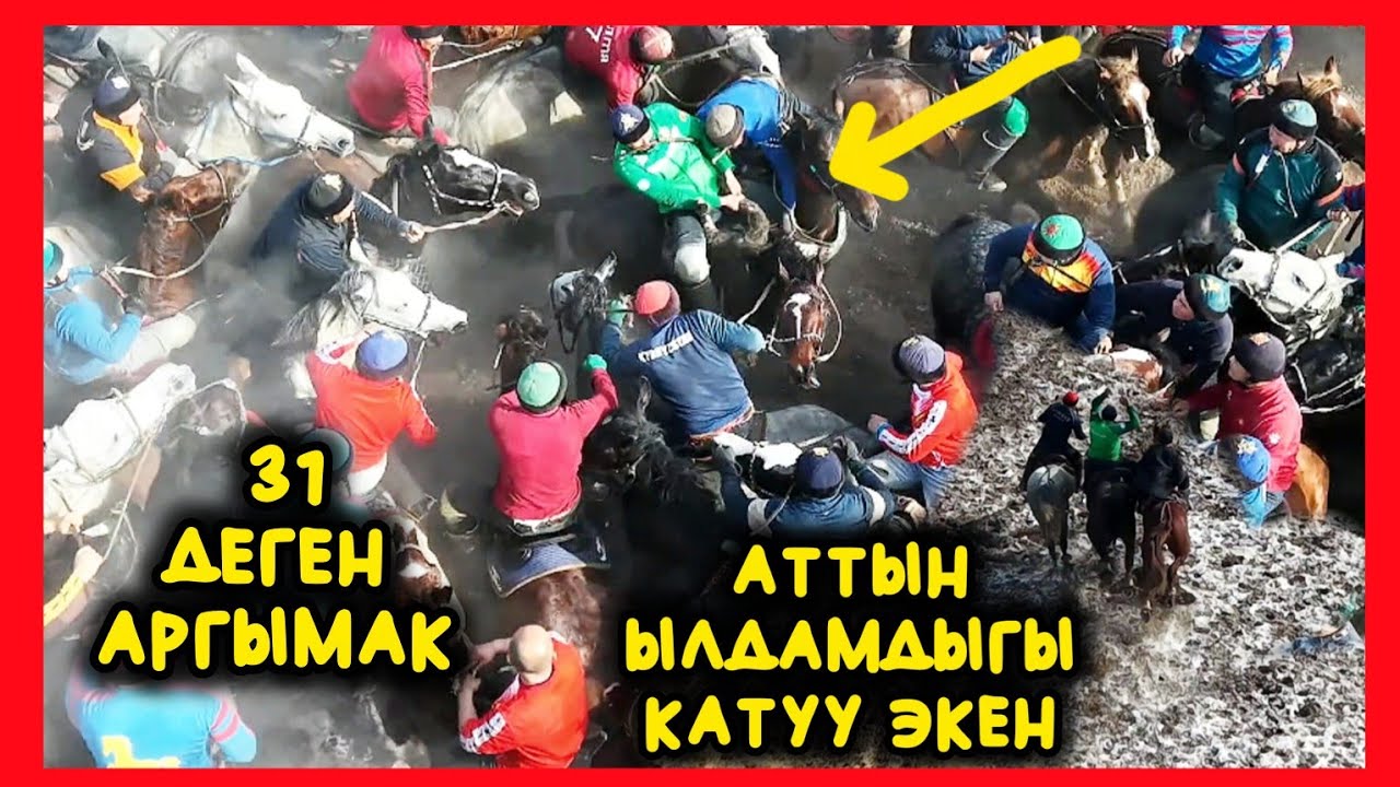Таши балбан Ала Букадагы чоң жыйында текени таза такым менен жалгыз айдады 💥💥💥