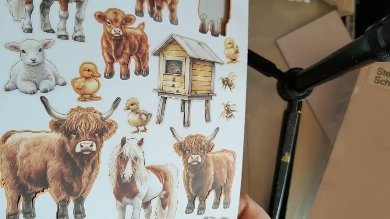 Ich zeige wie ihr eine Karte aus der Shadow Box machen könnt 🤩🥰