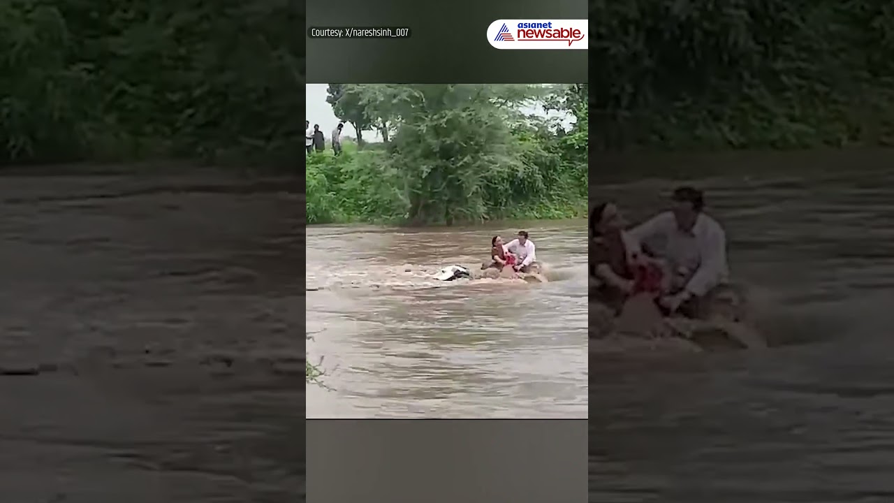 Gujarat Flood: Couple Stranded Atop Their Car Amid Flood, Get Rescued | Asianet Newsable