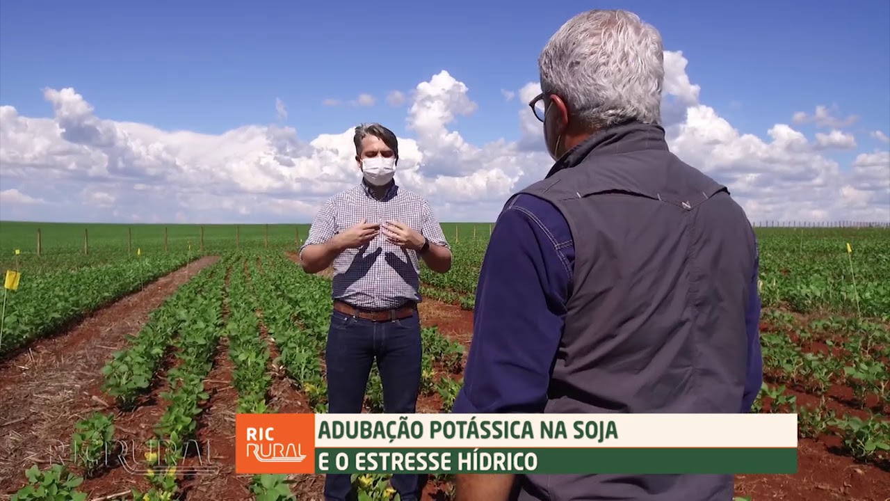 Adubação do potássio na soja e o estresse hídrico