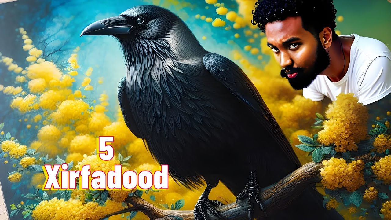 5 Xirfadood oo Aadanuhu ka baran karo Tukaha I Barnaamijka Himillada Sare