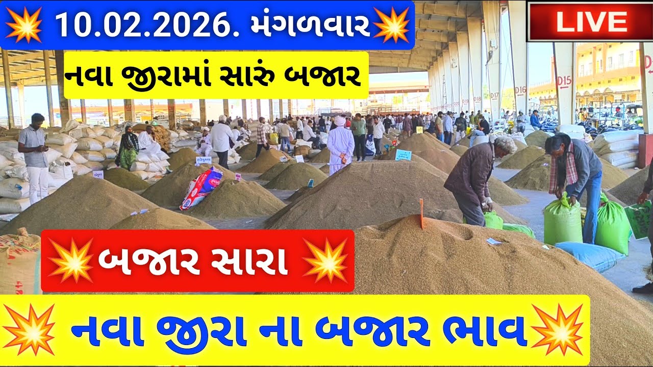 🔴live નવા જીરૂ ના બજાર ભાવ આજના જસદણ માર્કેટિંગ યાર્ડ, new cumin auction price ,February 10, 2026