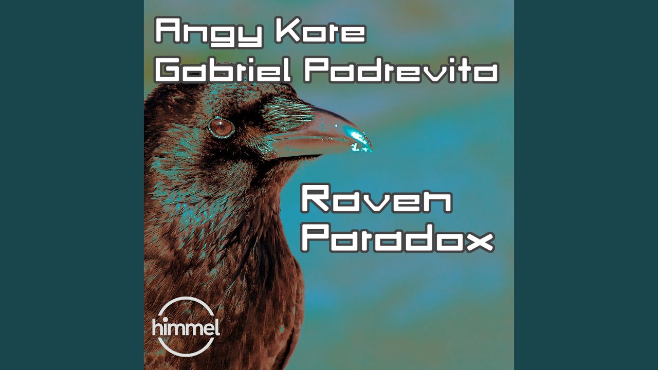 Raven Paradox (Original Mix)