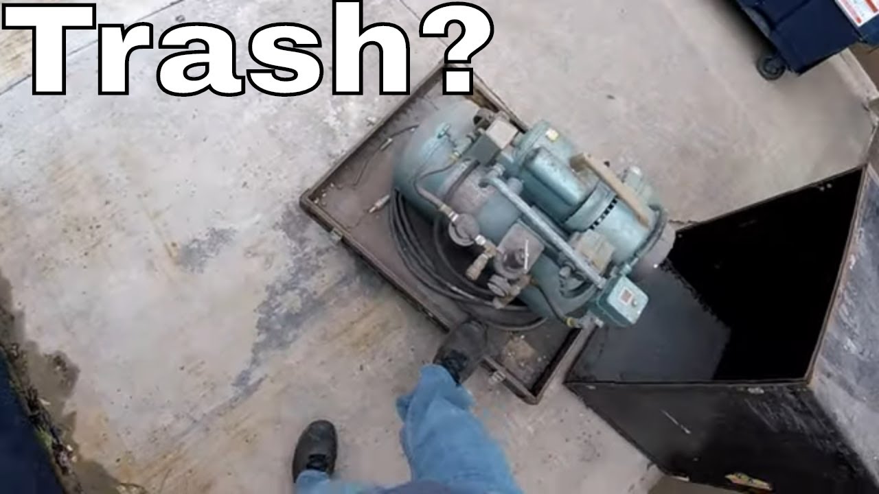 Dumpster Diving Garbage Day Scavenging