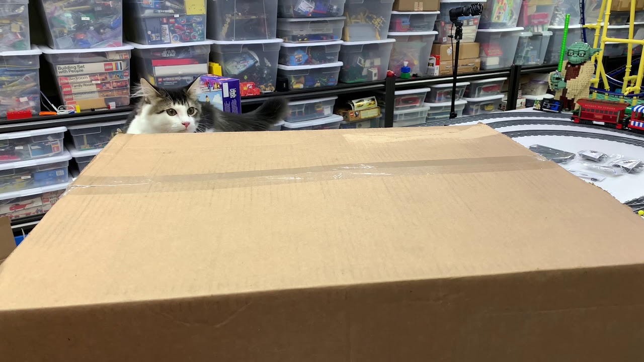 LEGO Triple Force Friday Haul Means A New Box!