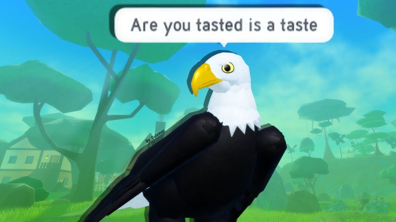 The WISE Eagle Man on Feather Family