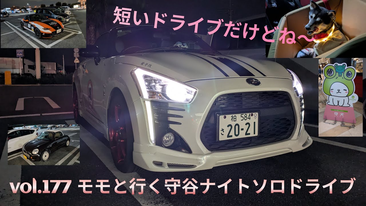 【柴兄妹の愉快な日々】vol.177 モモと行く守谷ナイトソロドライブ
